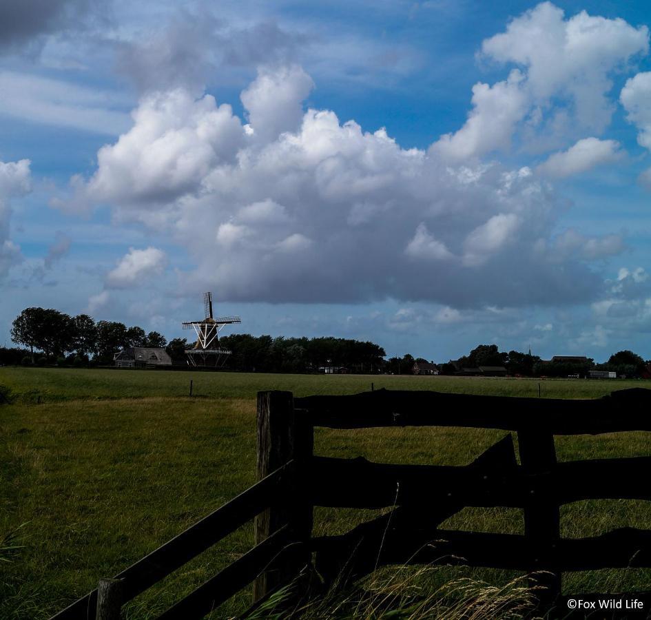 The Wee White Hoose Oosternijkerk Exterior foto